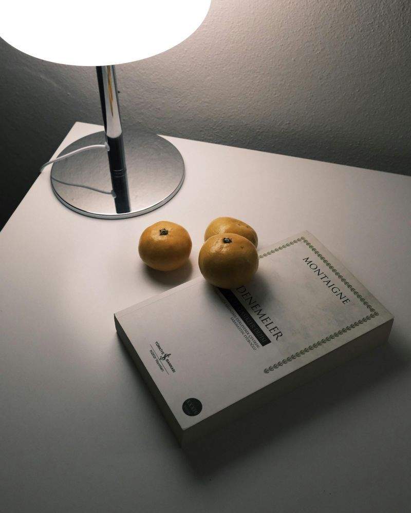 省エネルギー診断