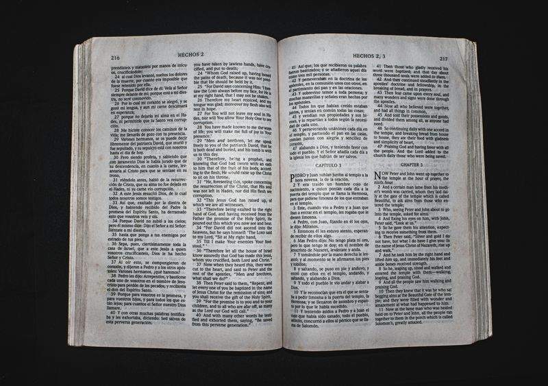 環境配慮型オフィス改善コンサルティング